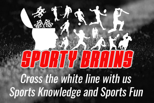 Sporty Brains Niche Website